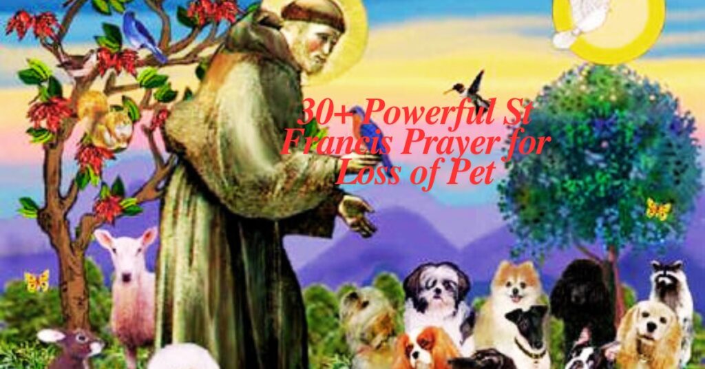 30+ Powerful St Francis Prayer for Loss of Pet