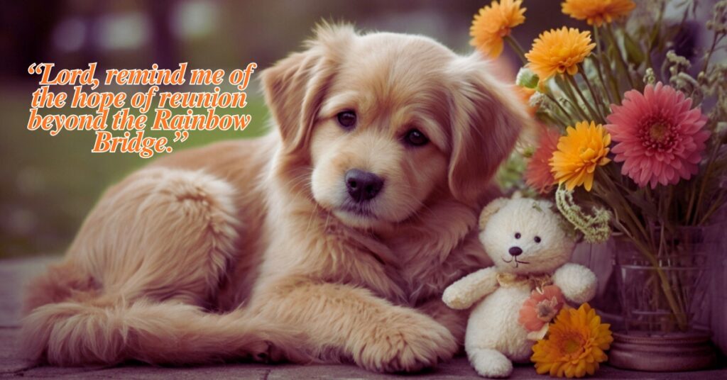 St Francis Prayer for Loss of Pet