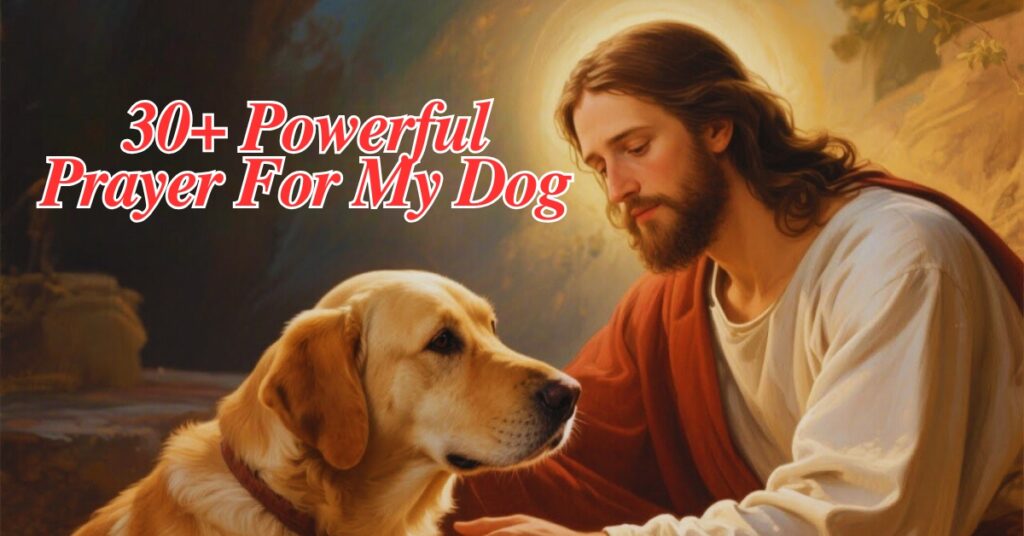 30+ Powerful Prayer For My Dog