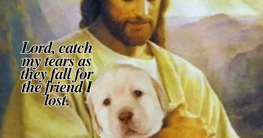 Prayer For My Dog 